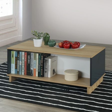 BRISTOL TABLE BASSE GRIS ET BLANC 100 X 50X H77CM