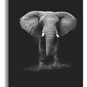 TOILE IMP ELEPHANT 158209
