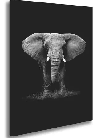TOILE IMP ELEPHANT 158209