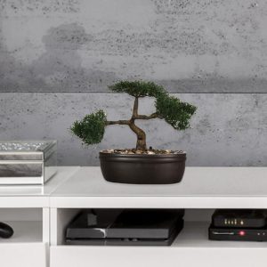 BONSAI POT CERAMIQUE  BAKI NOIR H23 103379