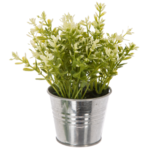 HERBE POT ZINC ZUMI ASS H17 114754