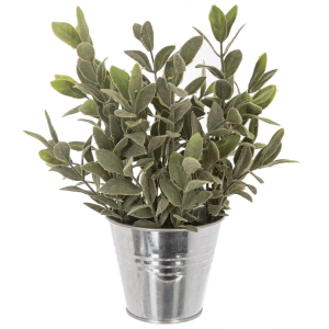 HERBE POT ZINC ZUMI ASS H25 114755