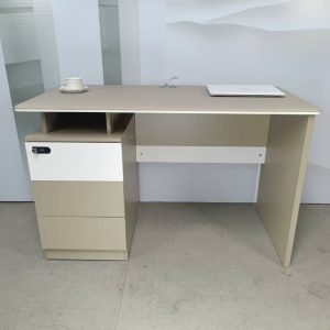 BUREAU AGENT 1.20CM