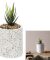 HD4199_GLOBAL PLANTE ARTIFICIELLE POT TERRAZZO M12