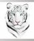 TIGRE01